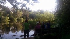 2015-06-04Abendausfahrt02.jpg