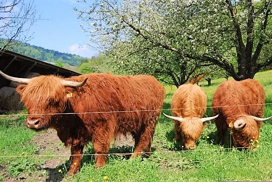 ferienpass_2TT_2