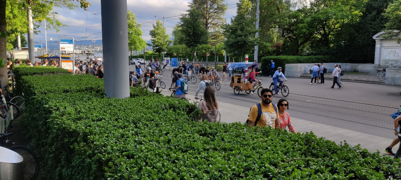 Critical Mass Mai_10